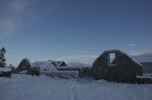 Homescapes