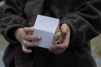 paper